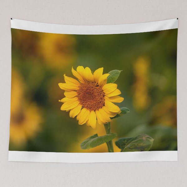 Item preview, Above the Crowd designed and sold by DawsonImages.