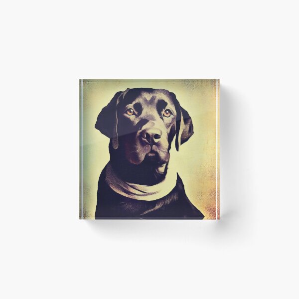 Item preview, Chocolate Labrador designed and sold by Pet-Z.