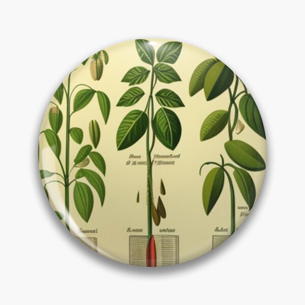 Item preview, Vintage root chart designed and sold by Roxburylane.