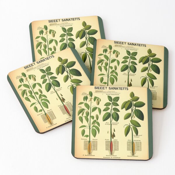 Item preview, Vintage root chart designed and sold by Roxburylane.