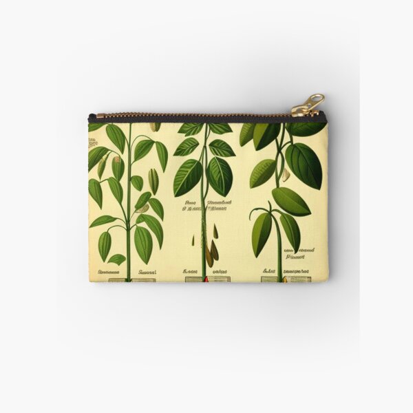 Item preview, Vintage root chart designed and sold by Roxburylane.