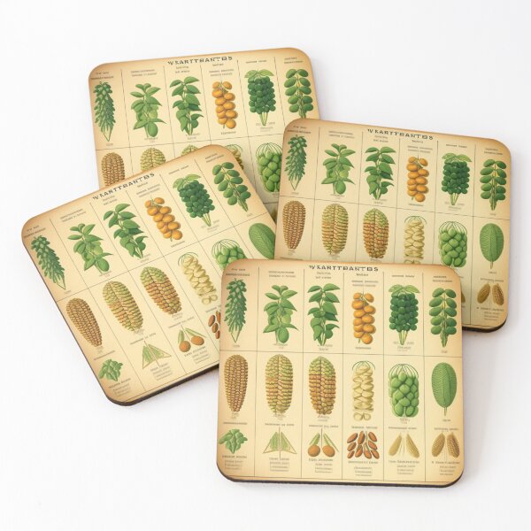 Item preview, Vintage seed chart  designed and sold by Roxburylane.