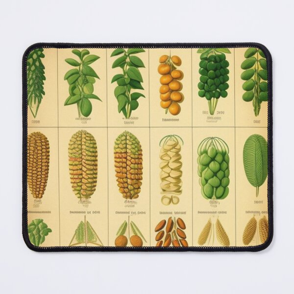 Item preview, Vintage seed chart  designed and sold by Roxburylane.