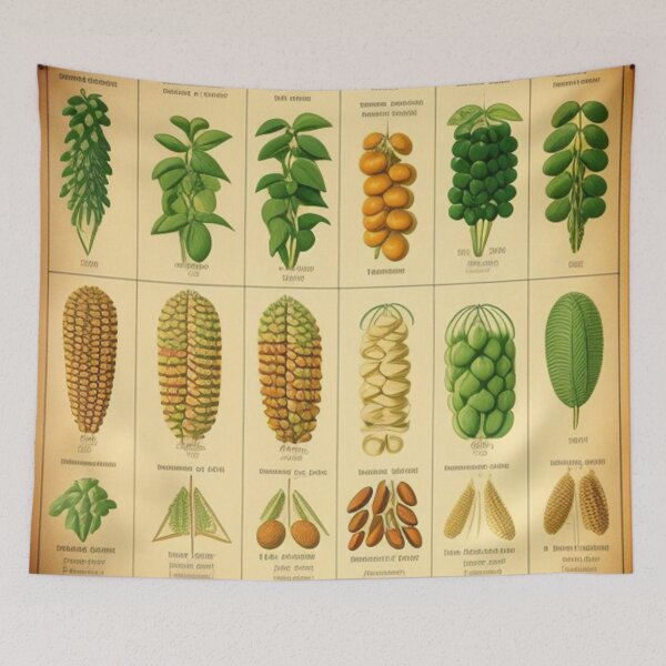 Aperçu de l'œuvre Tableau des graines vintage créée et vendue par Roxburylane.