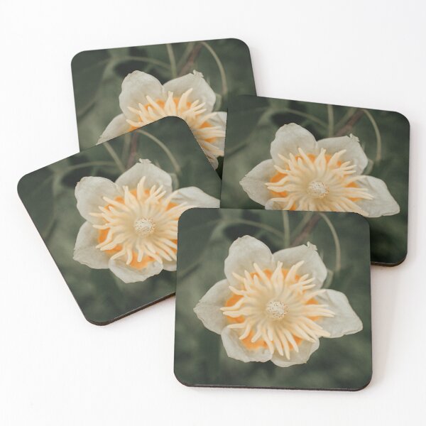 Item preview, Tulip Tree Flower designed and sold by jdkdavies.