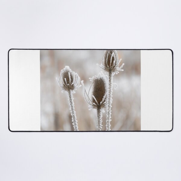 Item preview, Frosted Tisal designed and sold by DawsonImages.