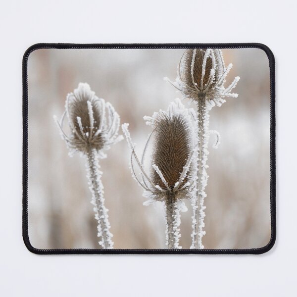 Item preview, Frosted Tisal designed and sold by DawsonImages.