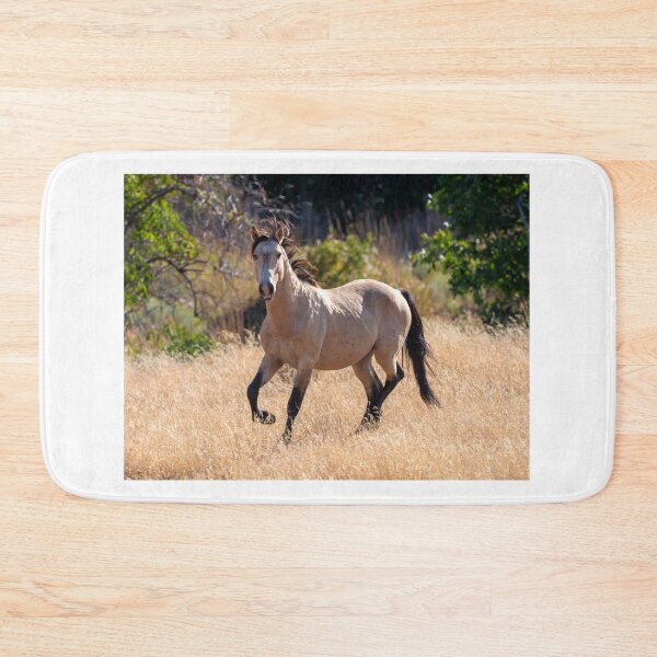 Item preview, Buckskin Mare designed and sold by DawsonImages.