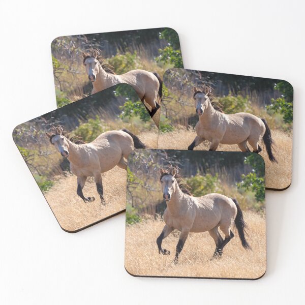 Item preview, Buckskin Mare designed and sold by DawsonImages.