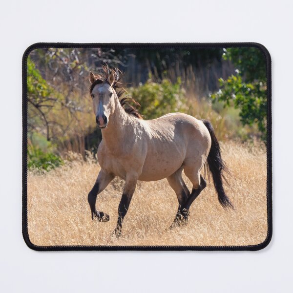 Item preview, Buckskin Mare designed and sold by DawsonImages.