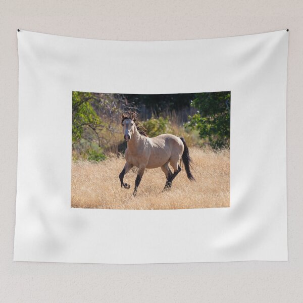 Item preview, Buckskin Mare designed and sold by DawsonImages.