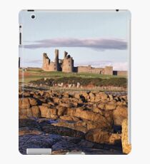 Landscape iPad Case/Skin