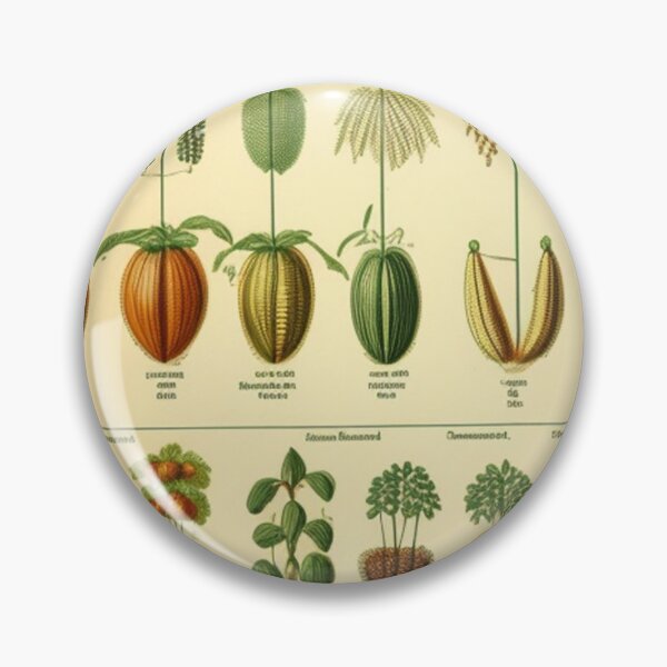 Item preview, Vintage seed chart designed and sold by Roxburylane.