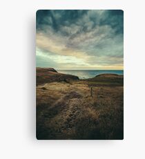 Firefly Canvas Print