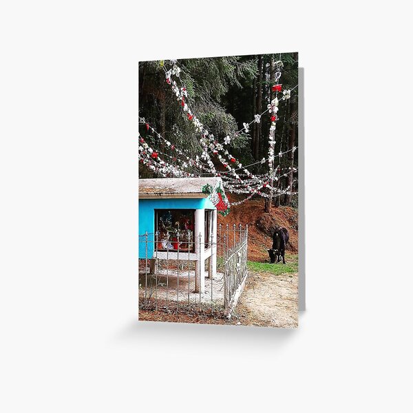A bull grazes near a roadside shrine to Guadalupe in Michoacan, Mexico Greeting Card