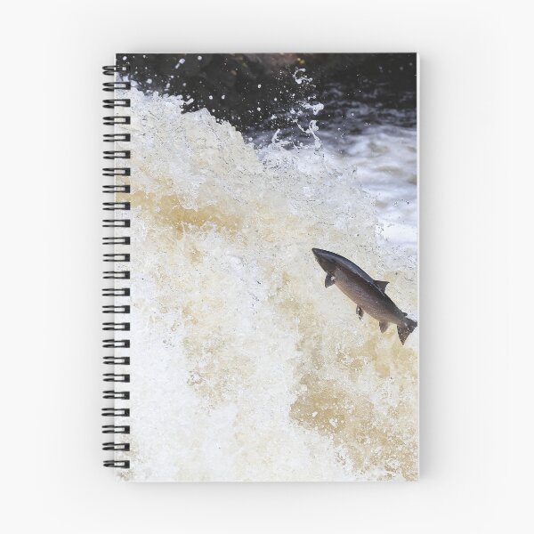 Item preview, Large leaping salmon designed and sold by chanonry.