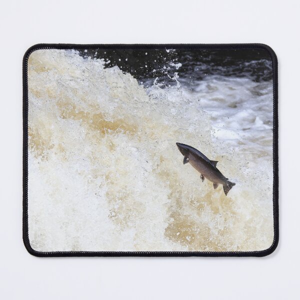 Item preview, Large leaping salmon designed and sold by chanonry.