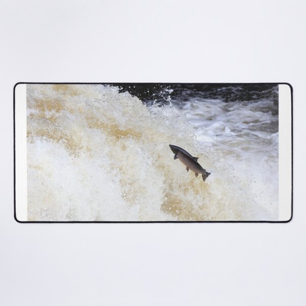 Item preview, Large leaping salmon designed and sold by chanonry.