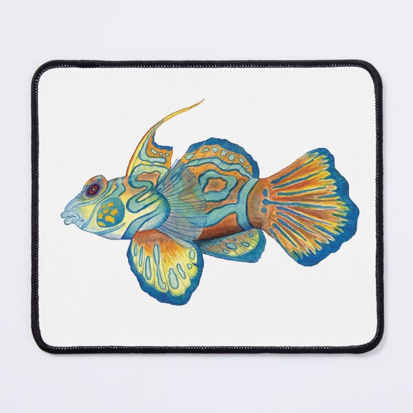 Item preview, Dragonet Fish designed and sold by laurenpenney.