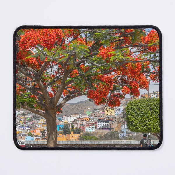 Item preview, Mexico. Guanajuato. Flaming Tree. designed and sold by vadim19.