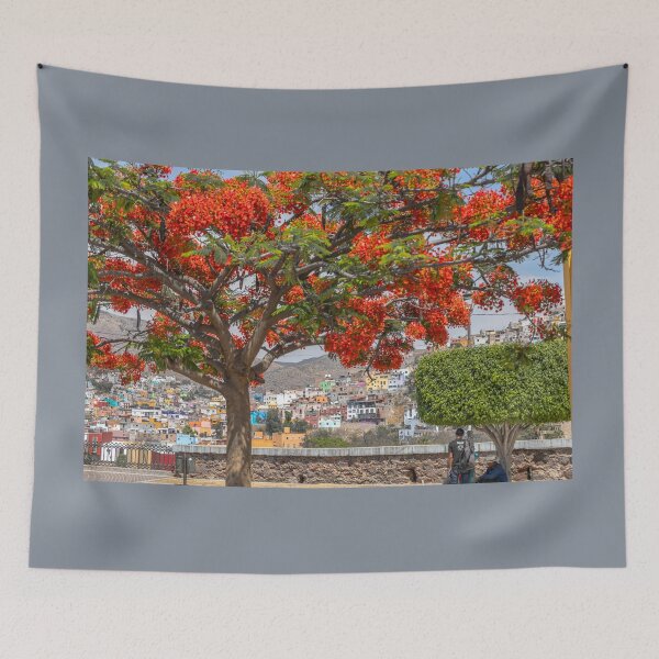 Item preview, Mexico. Guanajuato. Flaming Tree. designed and sold by vadim19.