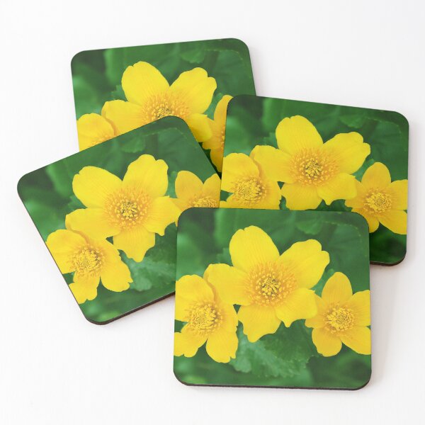 Item preview, Marsh Marigold Caltha Palustris designed and sold by rvjames.
