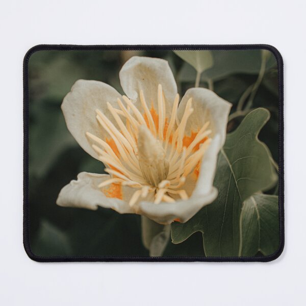 Item preview, Tulip Tree designed and sold by jdkdavies.