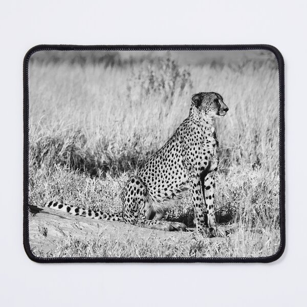 Item preview, Cheetah On Watch In Black and White designed and sold by Kay Brewer.