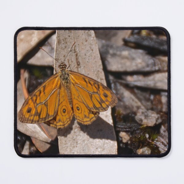 Item preview, The Moth designed and sold by D-GaP.