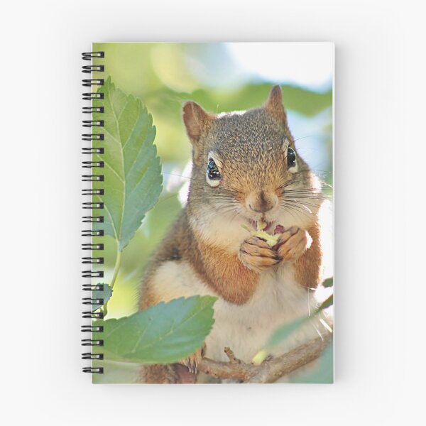 Item preview, Munchin' on mulberries designed and sold by Linda Crockett.
