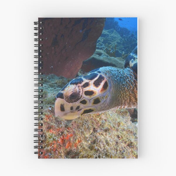 Item preview, Turtle designed and sold by Johnovarte.