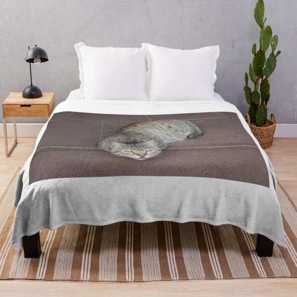 Item preview, Cute cat resting on the floor designed and sold by MubaraksArt.