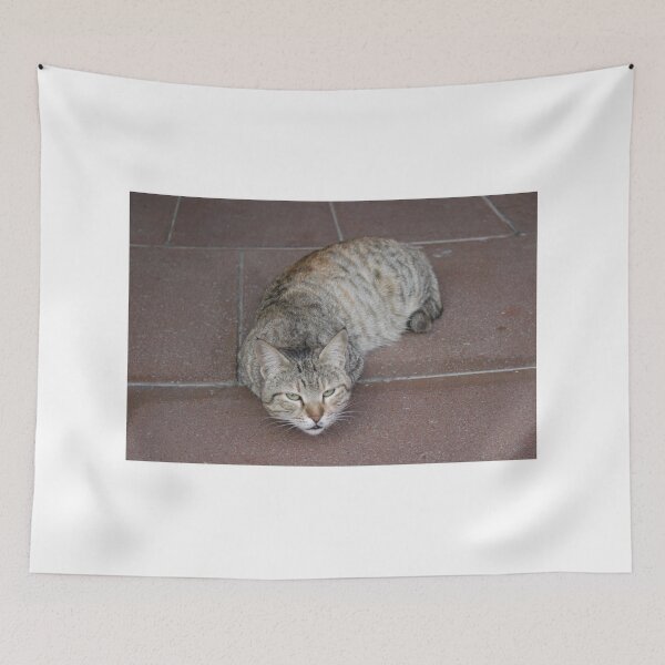 Item preview, Cute cat resting on the floor designed and sold by MubaraksArt.