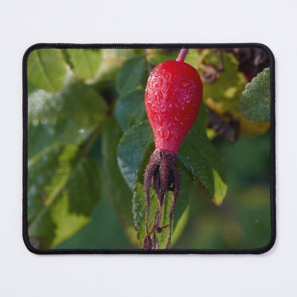 Item preview, Fresh Red Rosehip and Green Leaves designed and sold by couragesings.