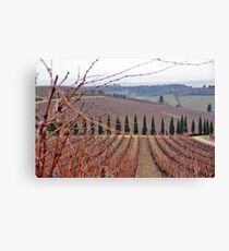 winery Canvas Print