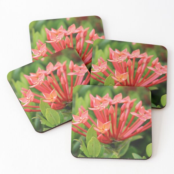 Item preview, Sunkissed in Florida designed and sold by Michiale.