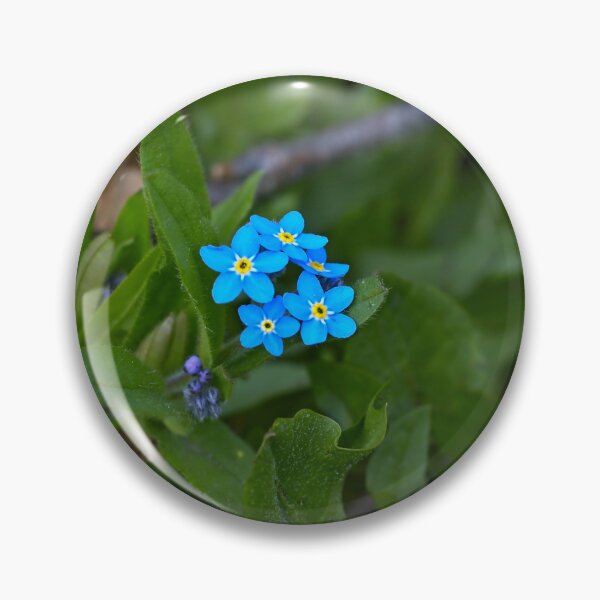 Item preview, Forget Me Not designed and sold by SavArcPics.