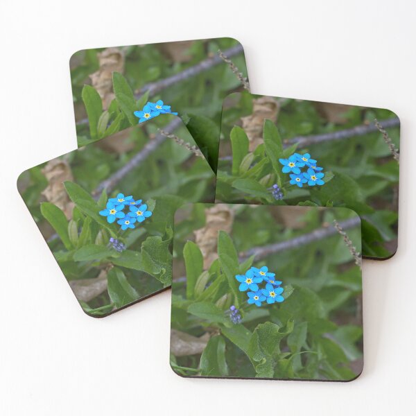 Item preview, Forget Me Not designed and sold by SavArcPics.