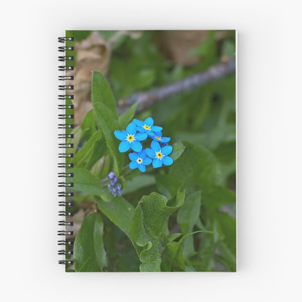 Item preview, Forget Me Not designed and sold by SavArcPics.