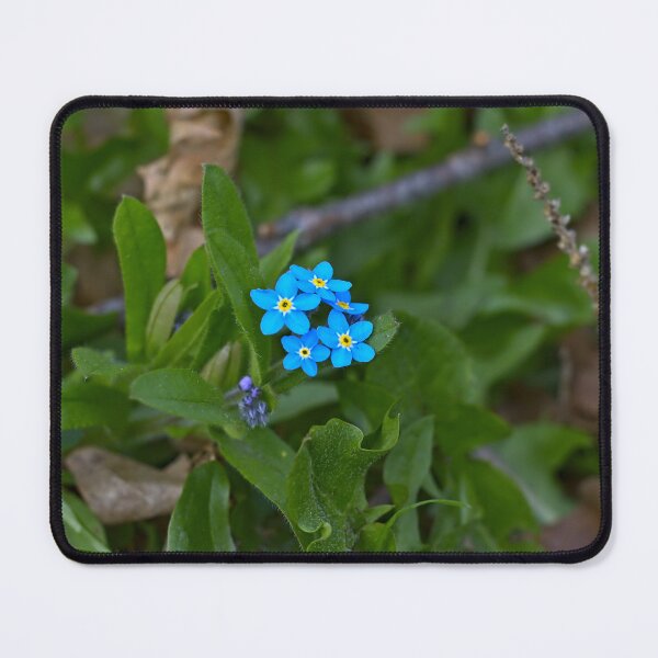 Item preview, Forget Me Not designed and sold by SavArcPics.