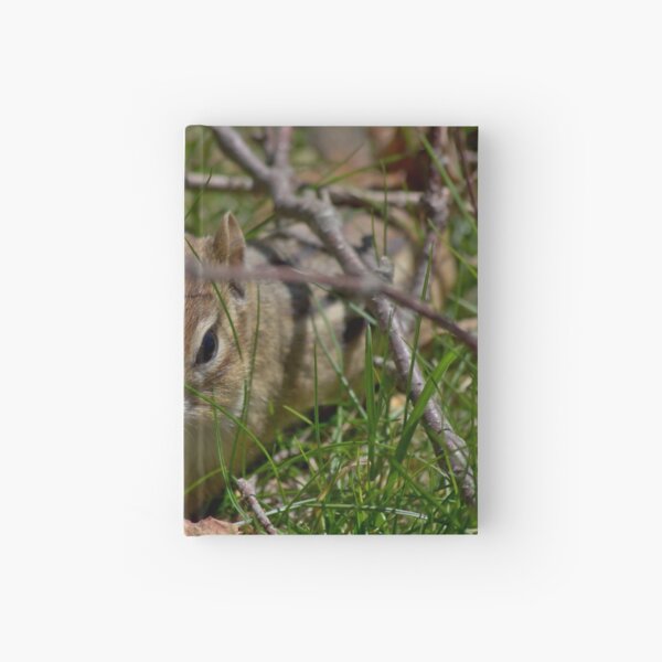Item preview, Chipmunk hiding in the grass designed and sold by SavArcPics.