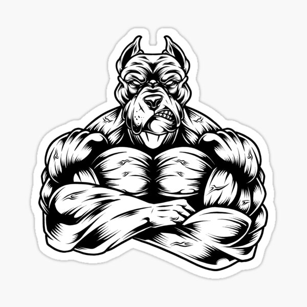 All I Want For Christmas if Gains Funny PitBull Dog Bodybuilding Fitness  Gift - All I Want For Christmas Is Gains - Sticker