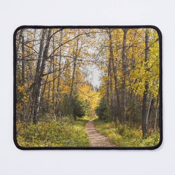 Item preview, Autumn at Gaetz Lakes Sanctuary in Red Deer, Alberta designed and sold by Amy Mitchell.