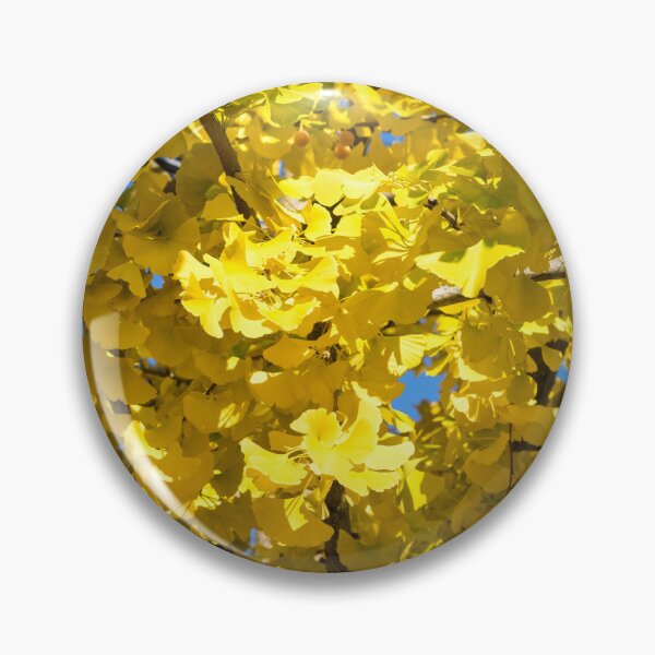 Item preview, Autumn of Gold - Glorious Ginkgo Biloba Treetop designed and sold by Georgia Mizuleva.