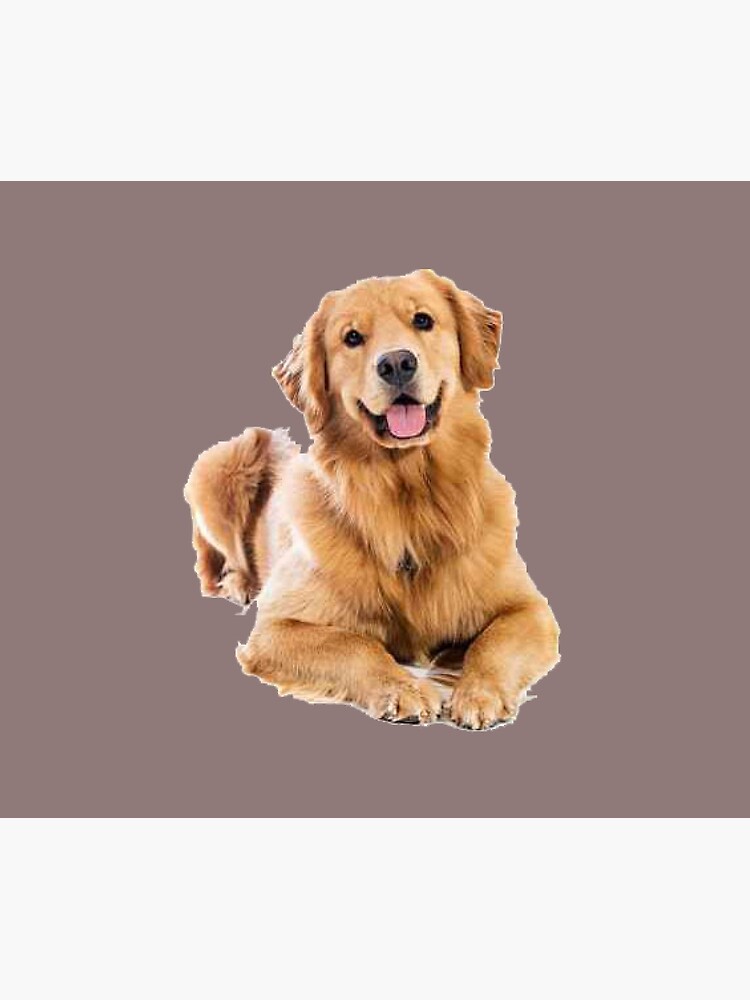 We Love Golden Retriever Duvet Cover By Nurlano Redbubble