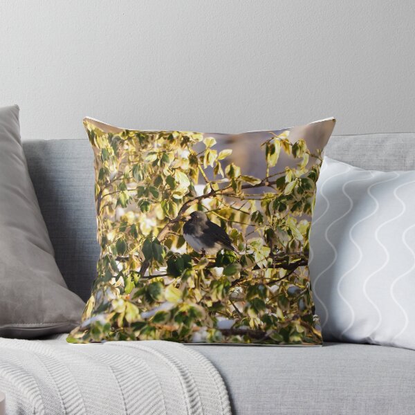 Item preview, Dark-eyed Junco Perched On a Bush designed and sold by BackyardBirder.