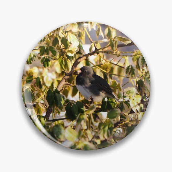 Item preview, Dark-eyed Junco Perched On a Bush designed and sold by BackyardBirder.