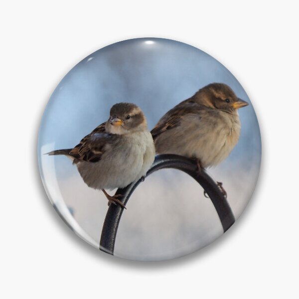 Item preview, Two Female House Sparrows designed and sold by BackyardBirder.
