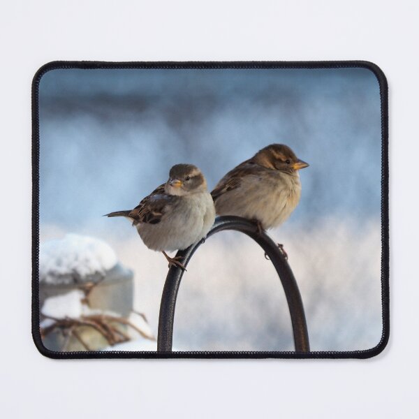 Item preview, Two Female House Sparrows designed and sold by BackyardBirder.