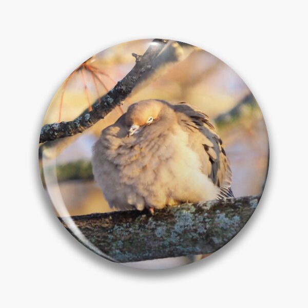 Item preview, Sleepy Mourning Dove designed and sold by BackyardBirder.